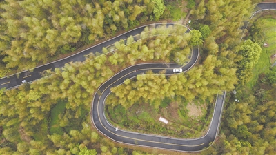 平陽交通推動 城市建設駛向快車道